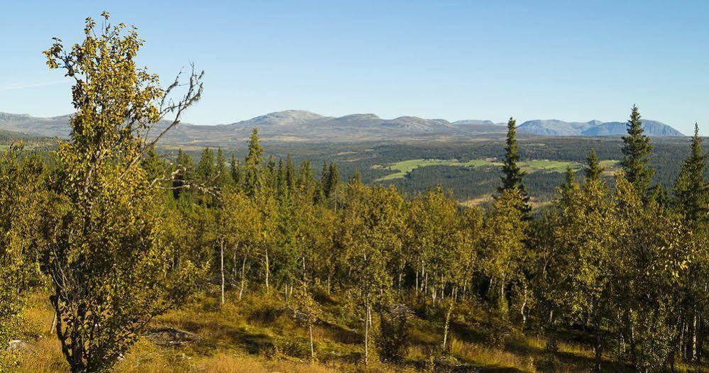 Liatoppen Fjellhotell Al Extérieur photo